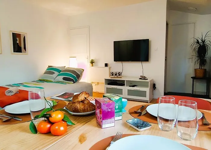 Appartement Studio Spacieux Hyper Centre