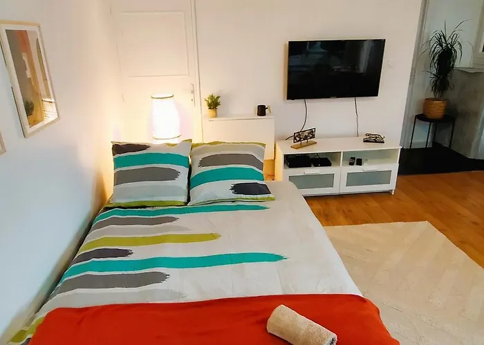 Appartamento Studio Spacieux Hyper Centre Tolosa